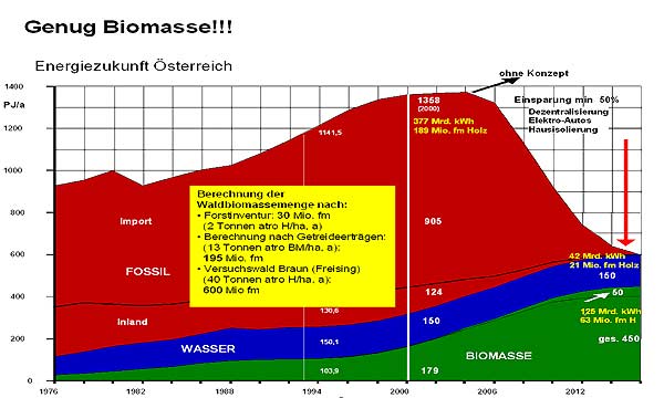 August Raggam, Bild 2: Österreich hat genug Biomasse für seine Energieversorgung